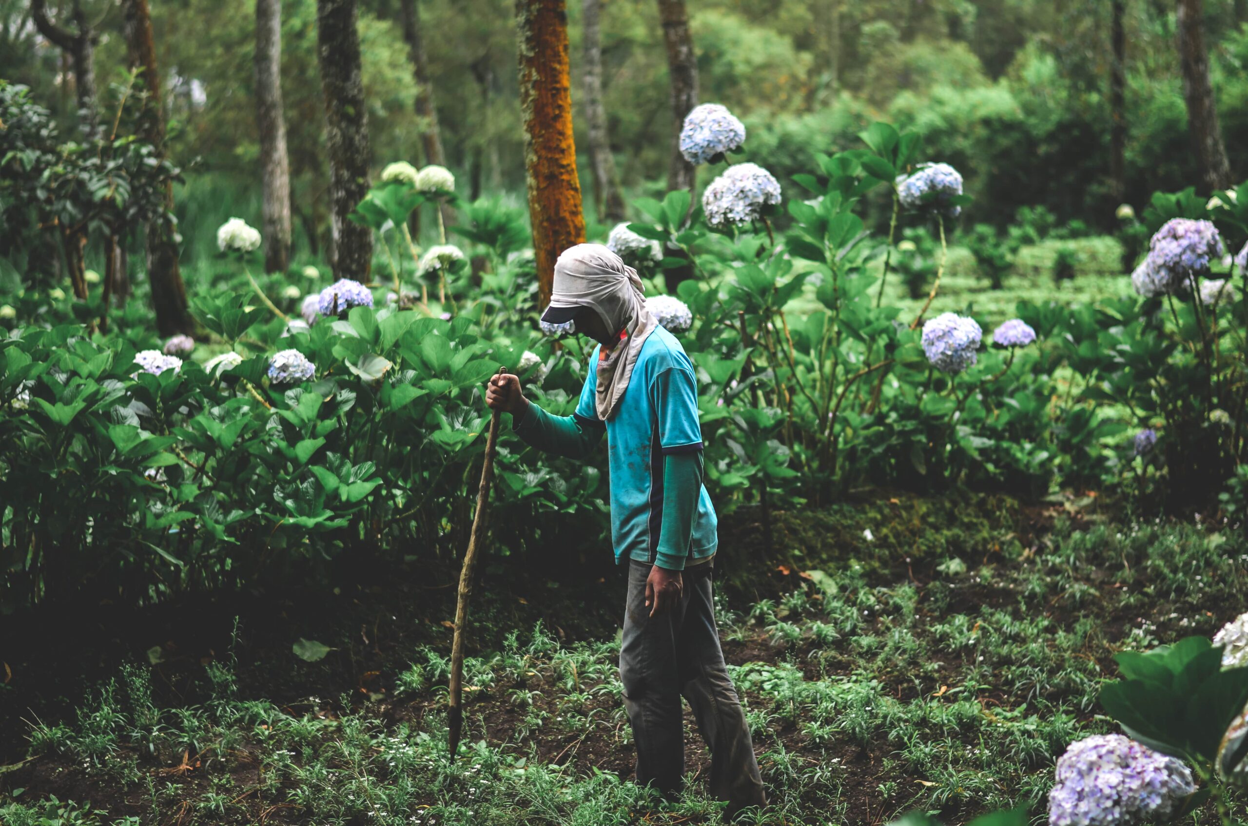 fairtrade worker farmer